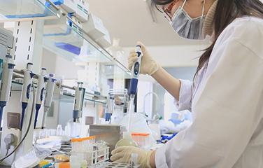 手持終端 手持終端